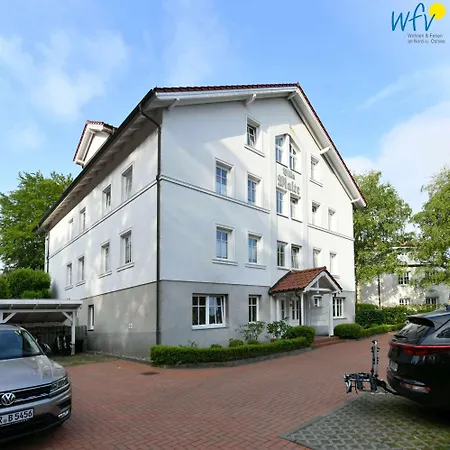 Malte - Herzmuschel *